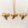 Shark Tooth Necklace